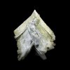 Whewellit xx (Zwilling), Hartenstein, Schacht 371, -1440 m Sohle, Zone Erna, 4 cm x 4 cm