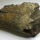 Tagebau Espenhain, Knochenfragment von Seekuh, (Halitherium?), Länge 10,8 cm, Dicke 5,5 cm