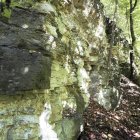 Aufschluss des Unteren Muschelkalkes / Unterer Wellenkalk bei Gerstengrund  