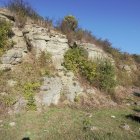 Aufschluss des Unteren Muschelkalkes / Unterer Wellenkalk an der B 285 südlich von Kaltennordheim  