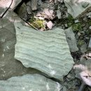 Wellenrippeln, ehemaliger Steinbruch bei Friedelhausen, Unterrotliegendes, Perm