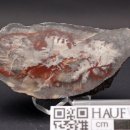 verkieseltes Holz Dadoxylon, Falkenau bei Flöha